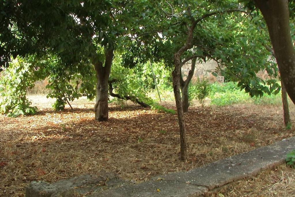 Villa Nel Salento - Ampie Camere E Giardino, Fino A 9 Persone Barbarano del Capo Exterior photo
